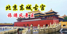 美女吃鸡巴喷水被草中国北京-东城古宫旅游风景区
